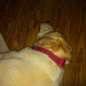 Meet your Posher, Mary